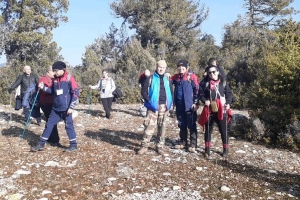 SÜTÇÜLER ADADA ANTİK KENTİ KRAL YOLU