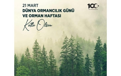 GENEL BAŞKANIN ORMAN HAFTASI MESAJI