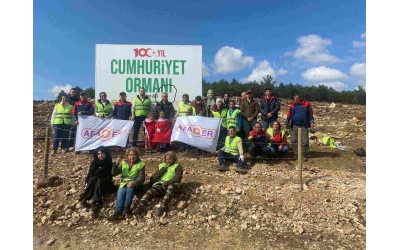 YEŞİL ORMANLAR İÇİNDE UYU KARDEŞİM