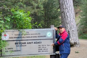 DEDEGÖL DAĞI ŞENLİĞİ