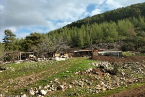 SIĞIRLIK KALESİ ŞEYHLER TÜRBESİ SÜTÇÜLER 