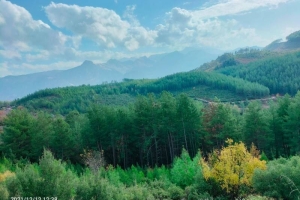 SIĞIRLIK KALESİ ŞEYHLER TÜRBESİ SÜTÇÜLER 