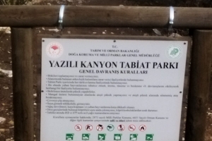 FİDANLARIMIZI KONTROL ETKİNLİĞİ YAZILI KANYON