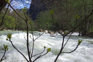 FİDANLARIMIZI KONTROL ETKİNLİĞİ YAZILI KANYON