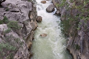 FİDANLARIMIZI KONTROL ETKİNLİĞİ YAZILI KANYON